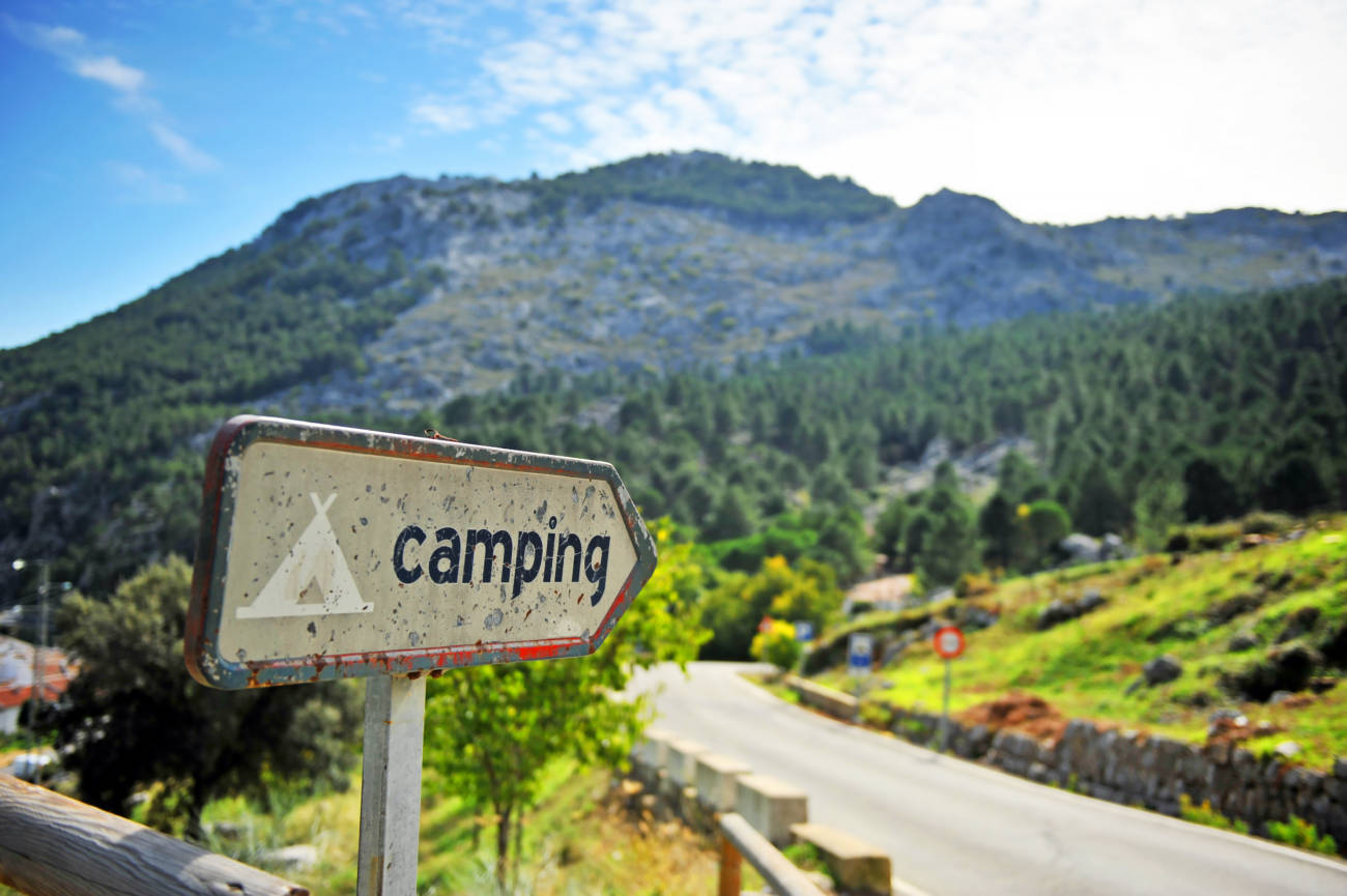 camping-campingprofesional.com